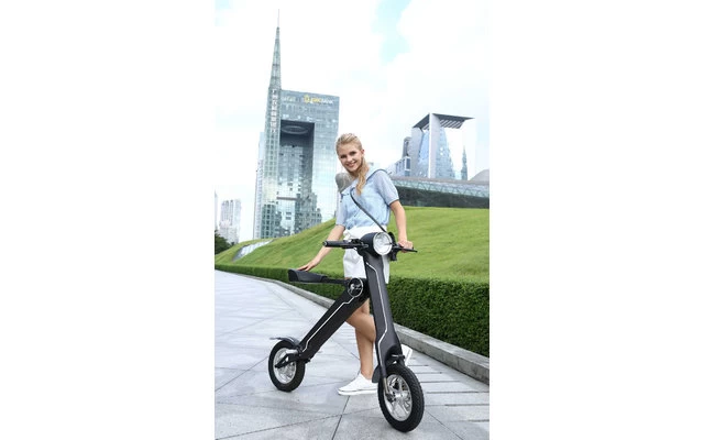 Lehe K1 + E-Mofa Schwarz – Bild 2