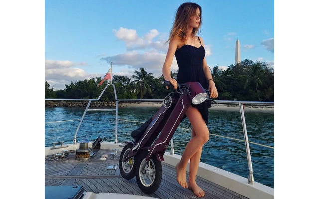 Lehe K1 + E-Mofa Schwarz – Bild 6