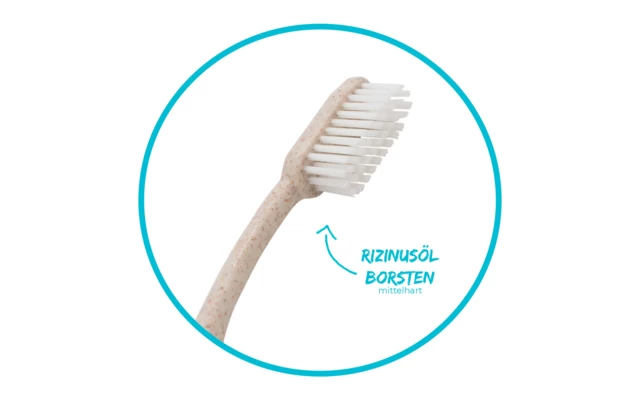 Chinchilla Zahnbürste Biologisch Abbaubar 1 Stück – Bild 2