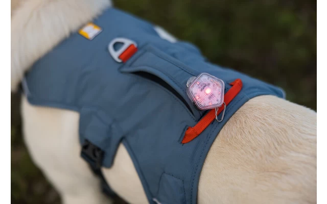 Ruffwear Web Master Hundegeschirr Mit Handschlaufe Blaze Orange XXS – Bild 5