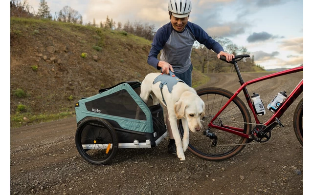 Ruffwear Web Master Hundegeschirr Mit Handschlaufe Blaze Orange XXS – Bild 6